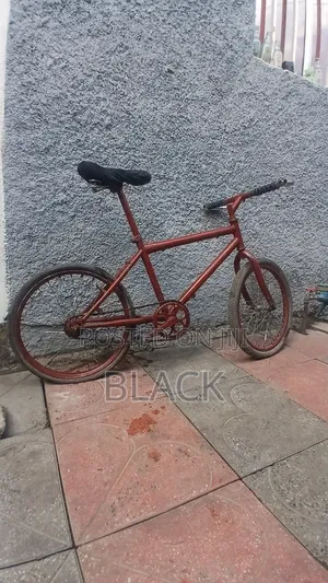 Bicycle ሳይክል