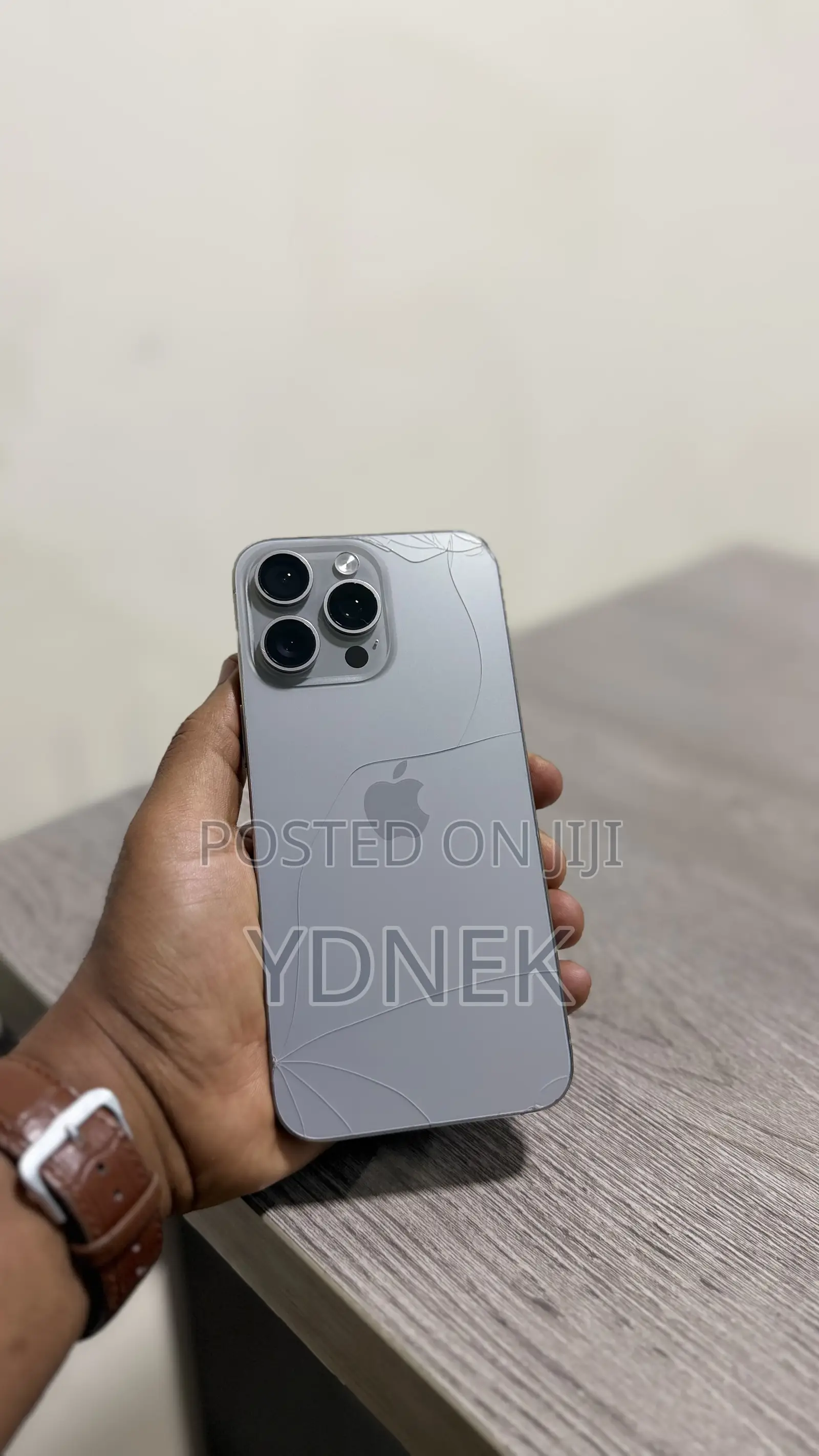 Apple iPhone 15 Pro Max 256 GB Silver