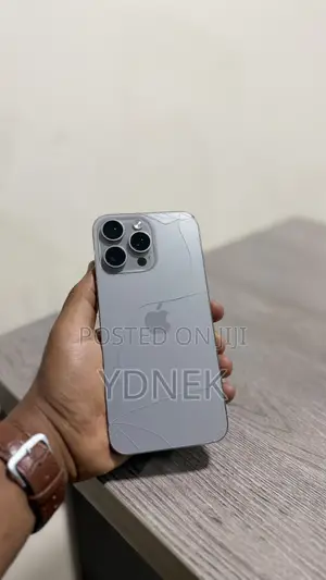 Apple iPhone 15 Pro Max 256 GB Silver
