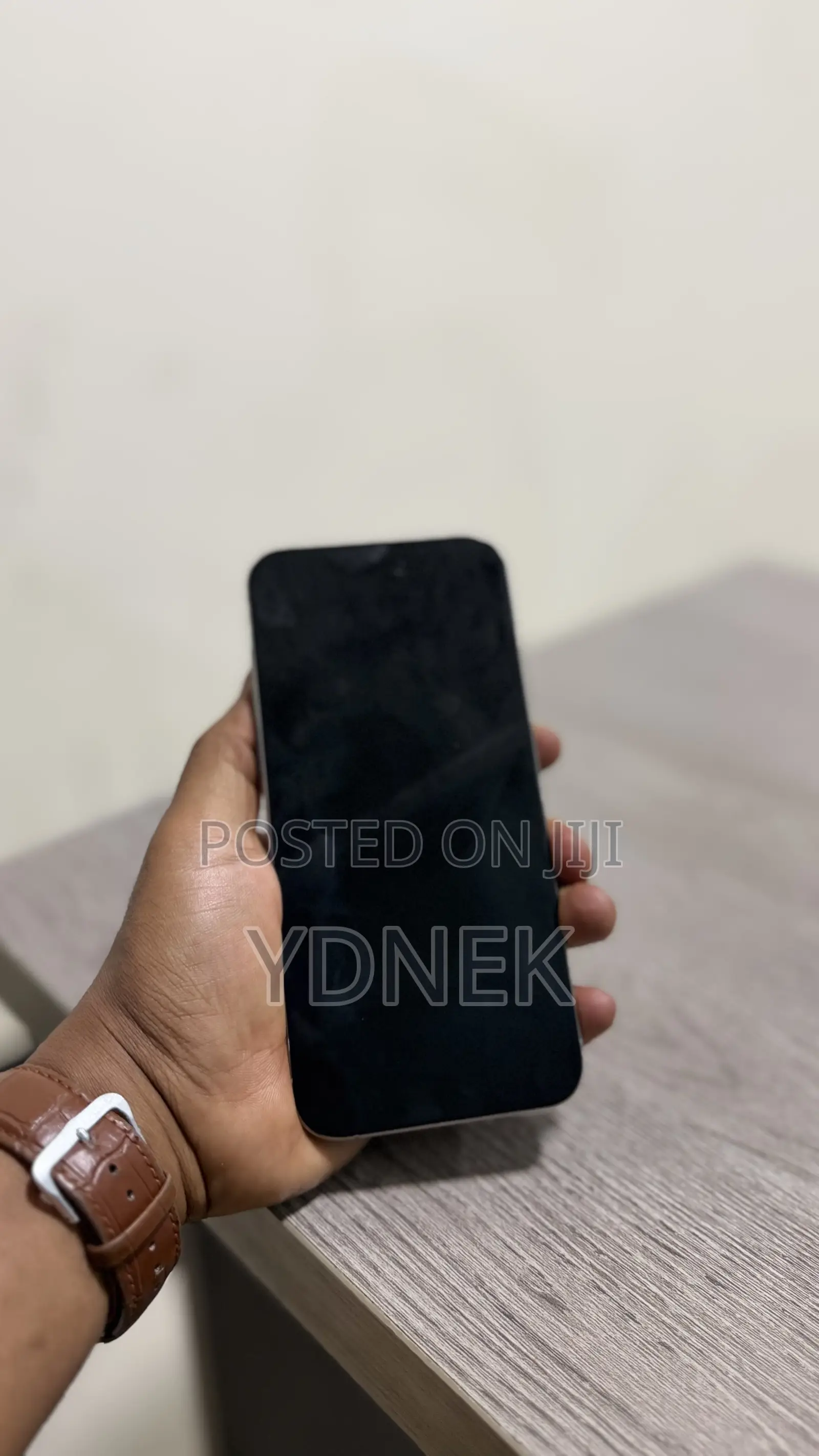 Apple iPhone 15 Pro Max 256 GB Silver