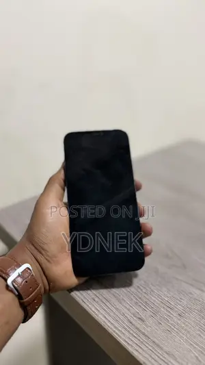 Apple iPhone 12 Pro Max 256 GB Blue