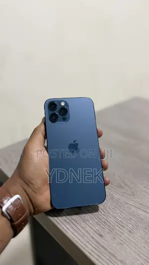 Apple iPhone 12 Pro Max 256 GB Blue