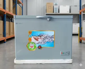 Everest Chest Freezer 300 (Open View) With Sliding Glass Doors