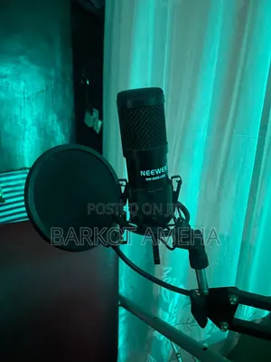 Neewer Mic