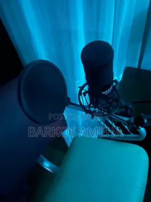 Neewer Mic