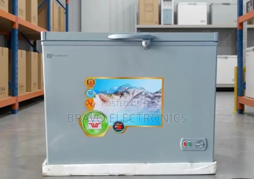 Everest Chest Freezer 300