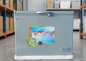 Everest Chest Freezer 300