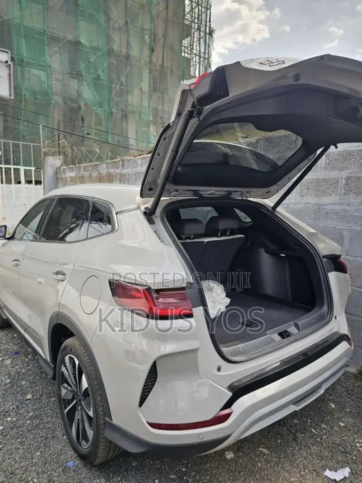 New BYD Song Plus 2025 Gray