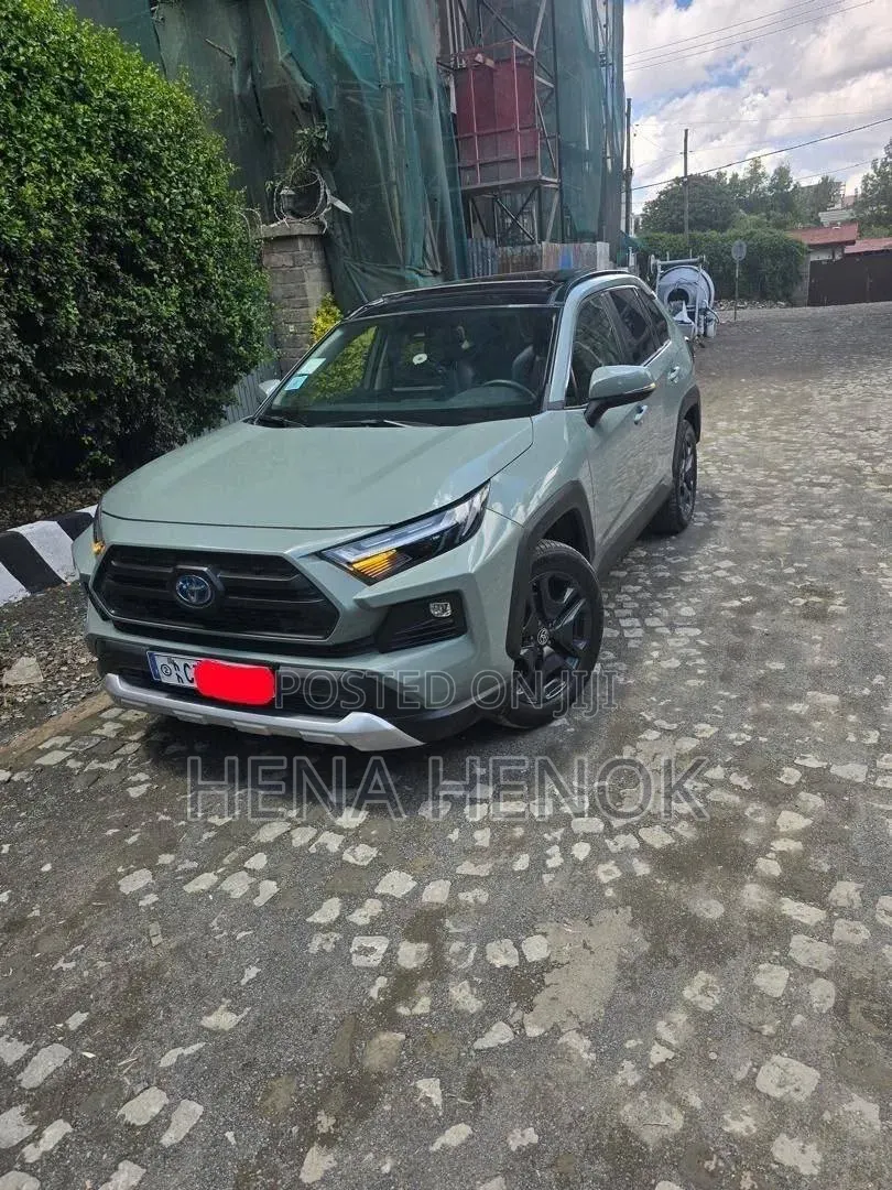 Toyota RAV4 2022 Green