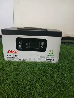 1000watt (1kw) All-in-One Inverter Battery