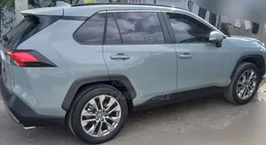 Toyota RAV4 Hybrid 2024 Gray