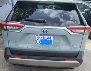 Toyota RAV4 Hybrid 2024 Gray