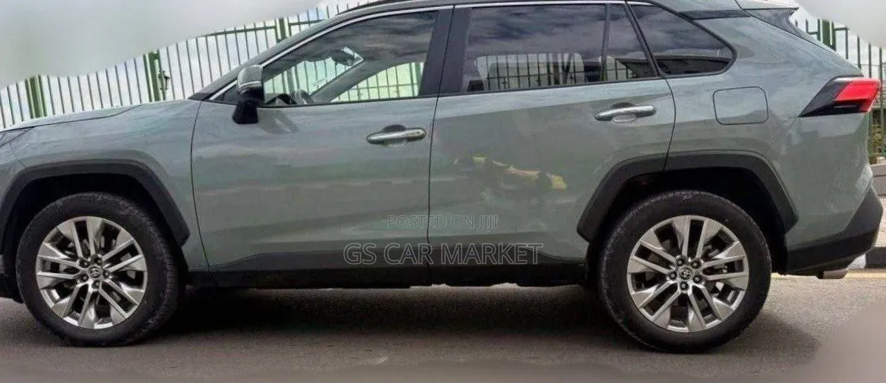 Toyota RAV4 Hybrid 2024 Gray