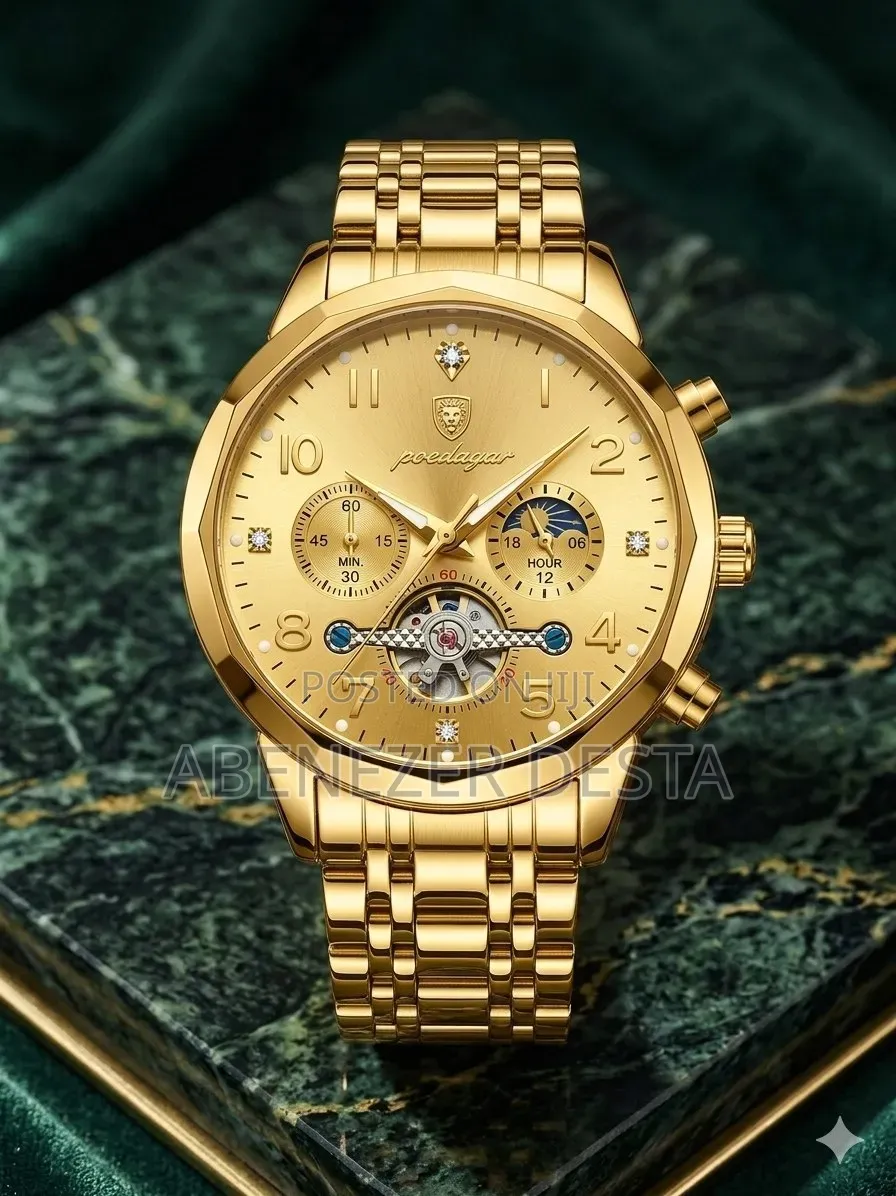 Poedagar Mens Automatic Chronograph Watch in Full Golden Finish