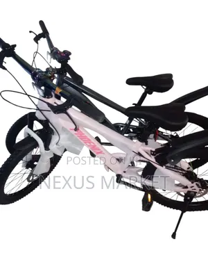 Phoenix 20 Inch Bike New