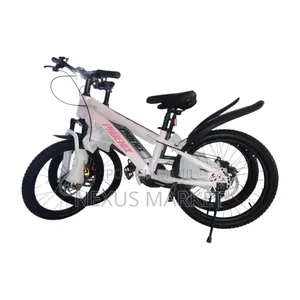 Phoenix 20 Inch Bike New