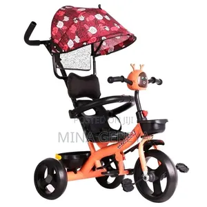 Kids Tricycle With Umbrella