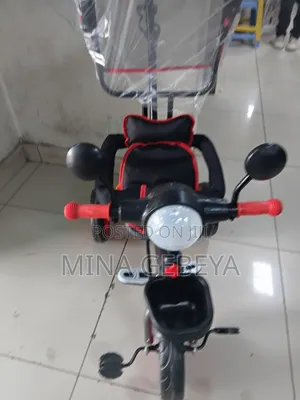 Kids Tricycle With Umbrella