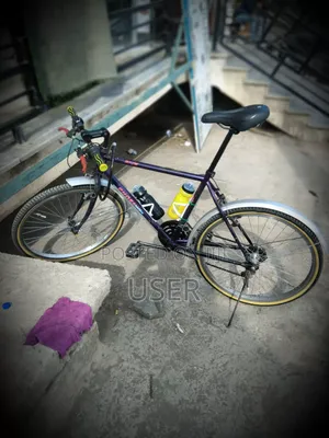 Phonex Bycicle