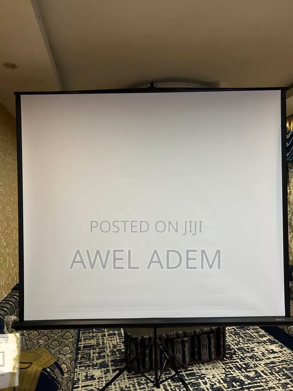 Projector Screen With Stand