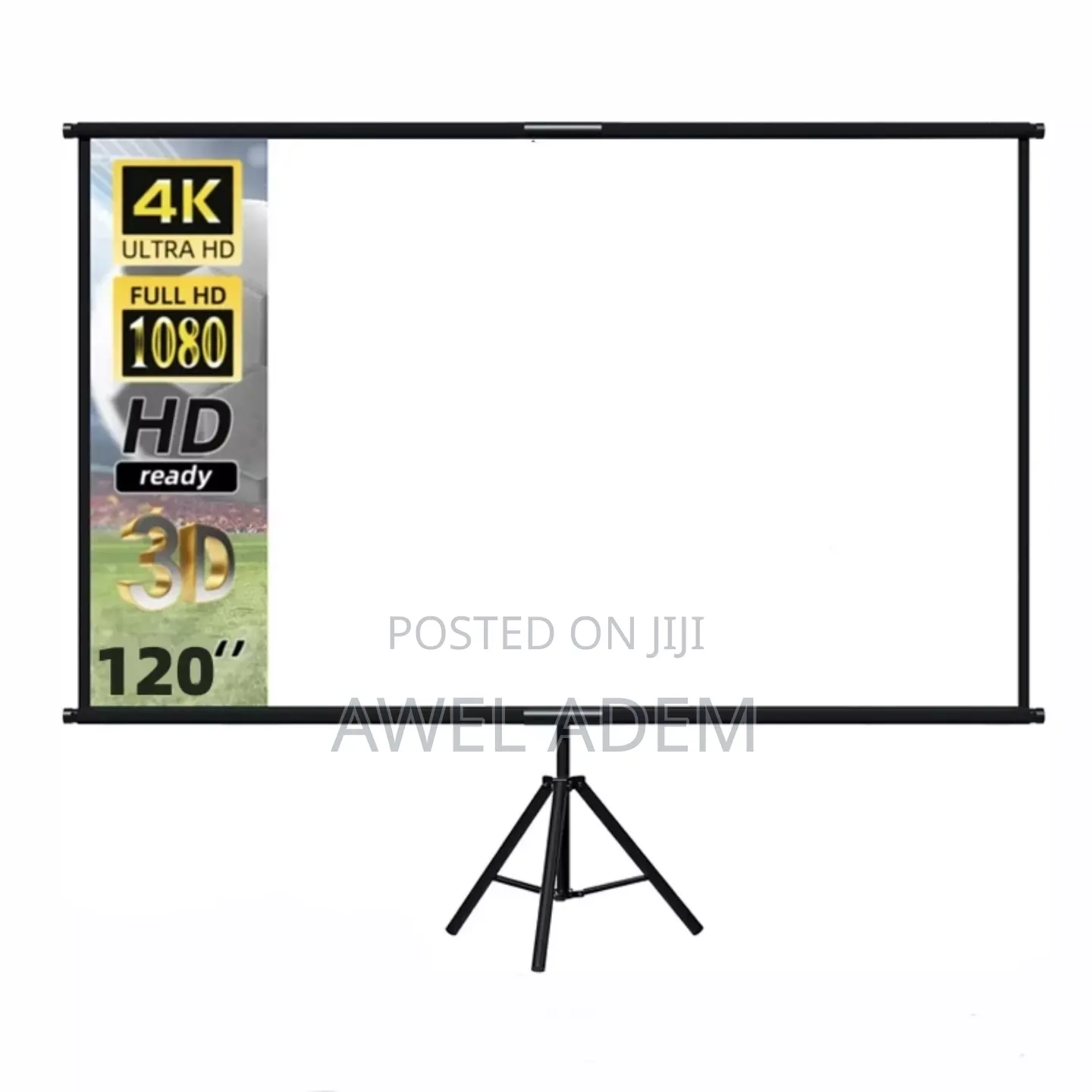Projector Screen With Stand