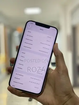 Apple iPhone 12 Pro Max 256 GB Silver