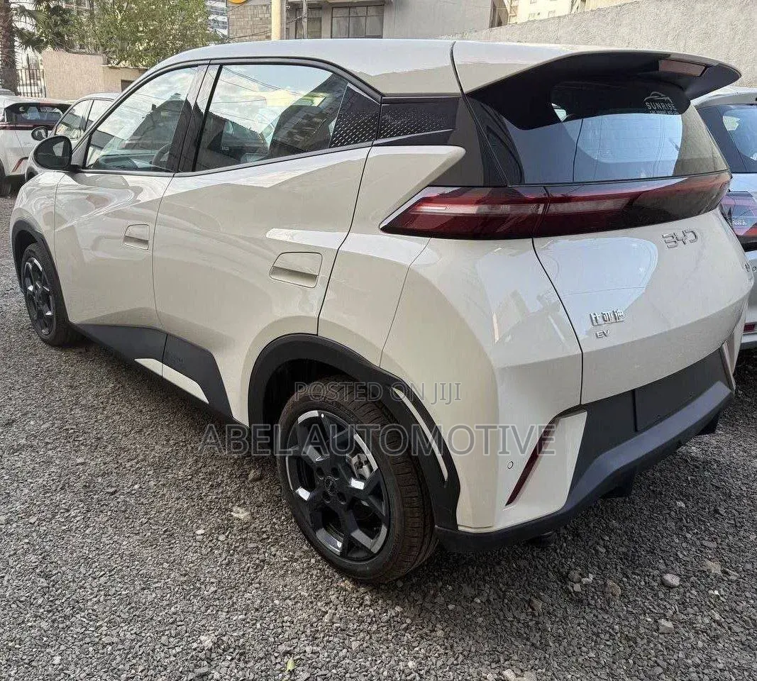 New BYD Seagull 2025 White