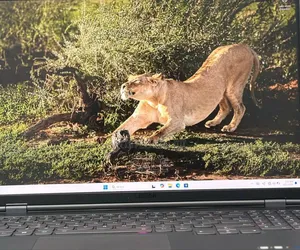 New Lenovo Legion Y7000P IRX9 Gaming Laptop 16GB AMD Ryzen 9 SSD 1T