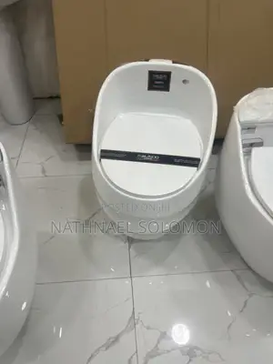 Bathroom Toilet