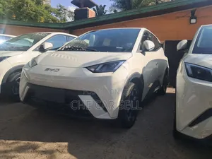 New BYD Seagull 2025 White