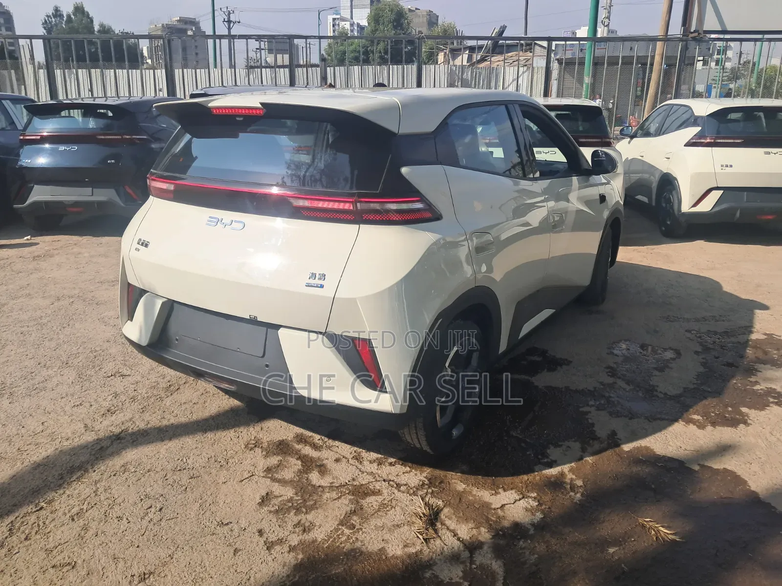 New BYD Seagull 2025 White