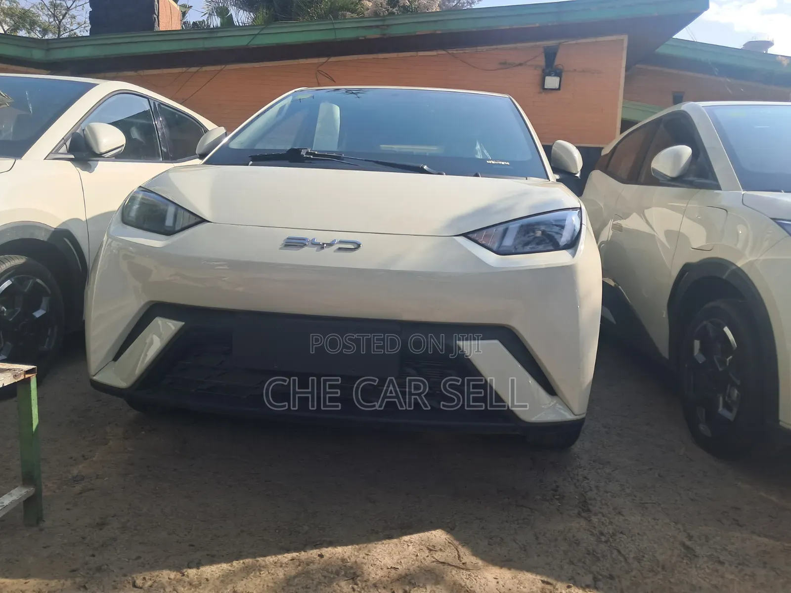 New BYD Seagull 2025 White