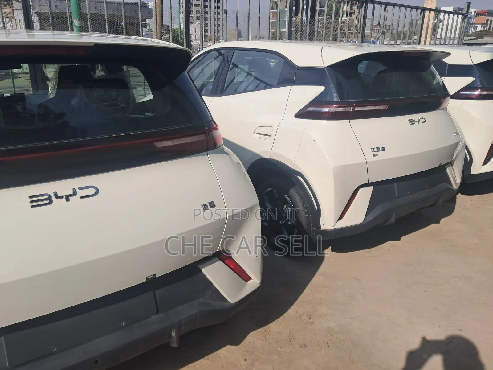 New BYD Seagull 2025 White