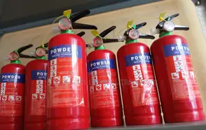 1kg Fire Extinguisher for Office, Shop, & Home / የእሳት አደጋ መከላከያ ማጥፊያ