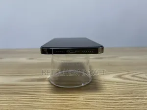 Apple iPhone 13 Pro Max 256 GB Silver