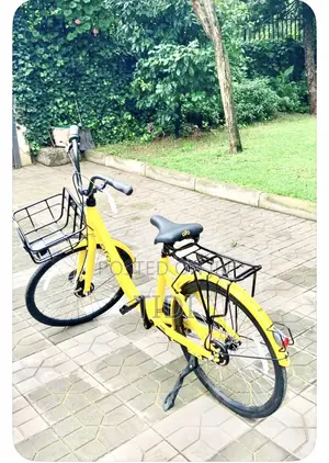 Ladies Bicycle