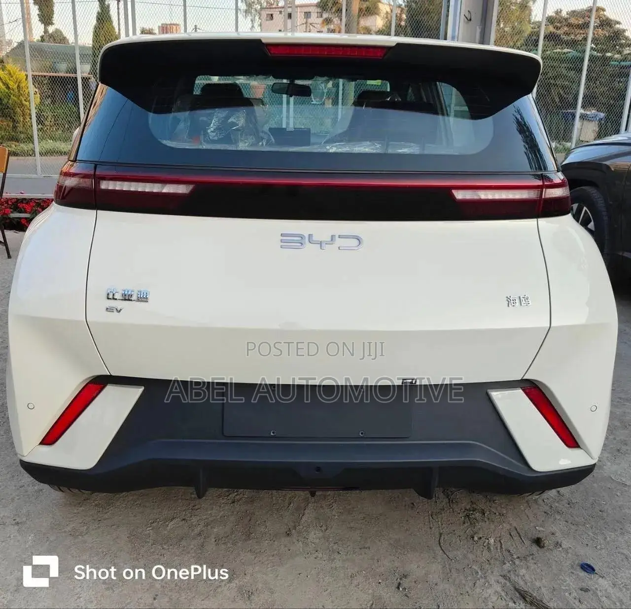 New BYD Seagull 2025 White