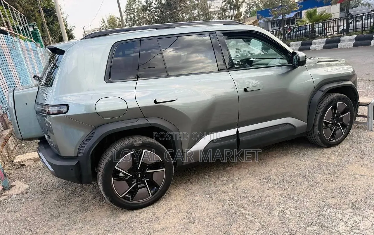 New BYD Leopard 3 2025 Gray