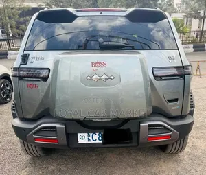 New BYD Leopard 3 2025 Gray
