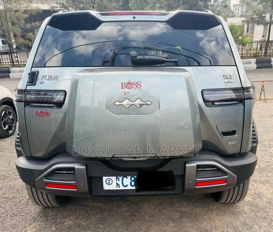 New BYD Leopard 3 2025 Gray