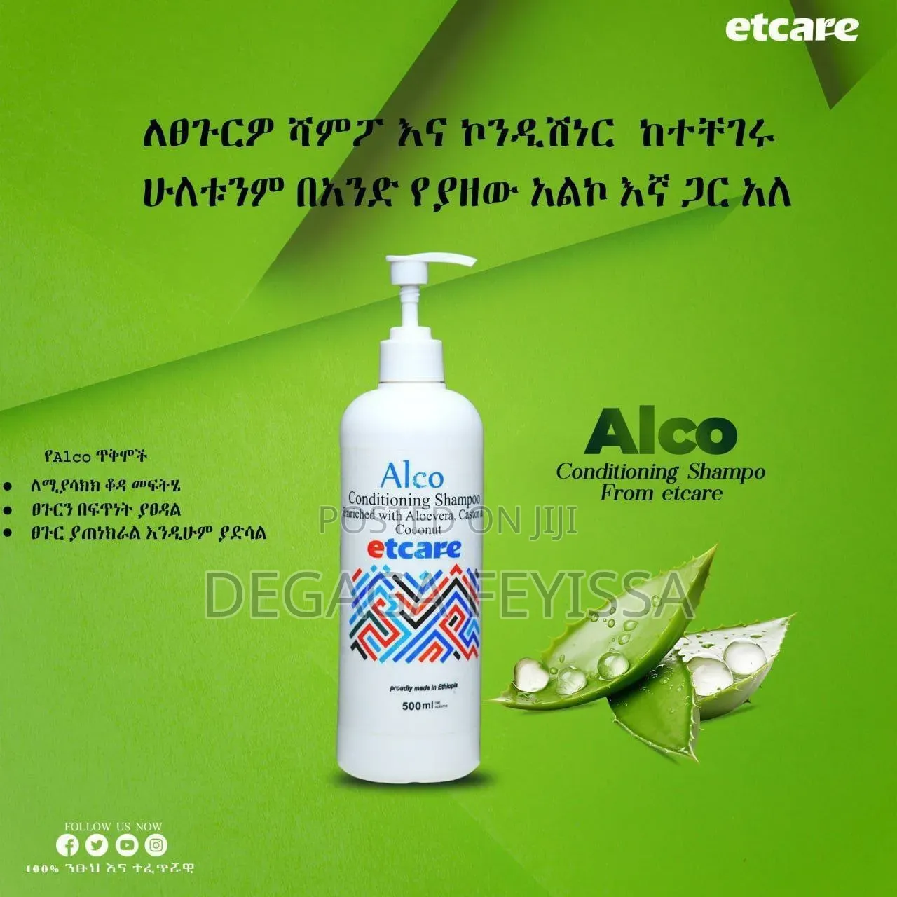 Alcho:Shampoo and Conditioner
