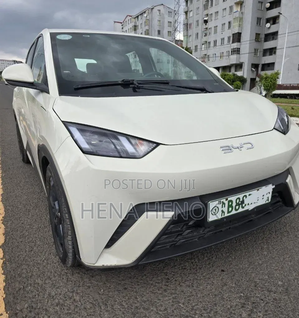 BYD Seagull 2024 White