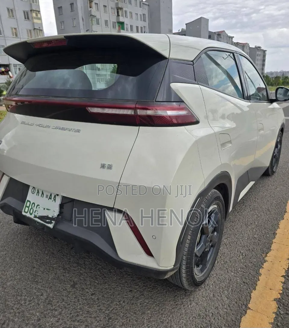 BYD Seagull 2024 White