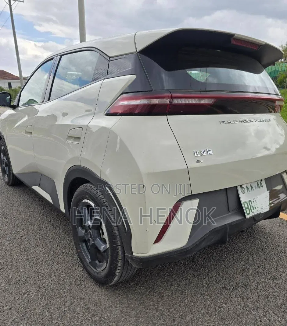 BYD Seagull 2024 White