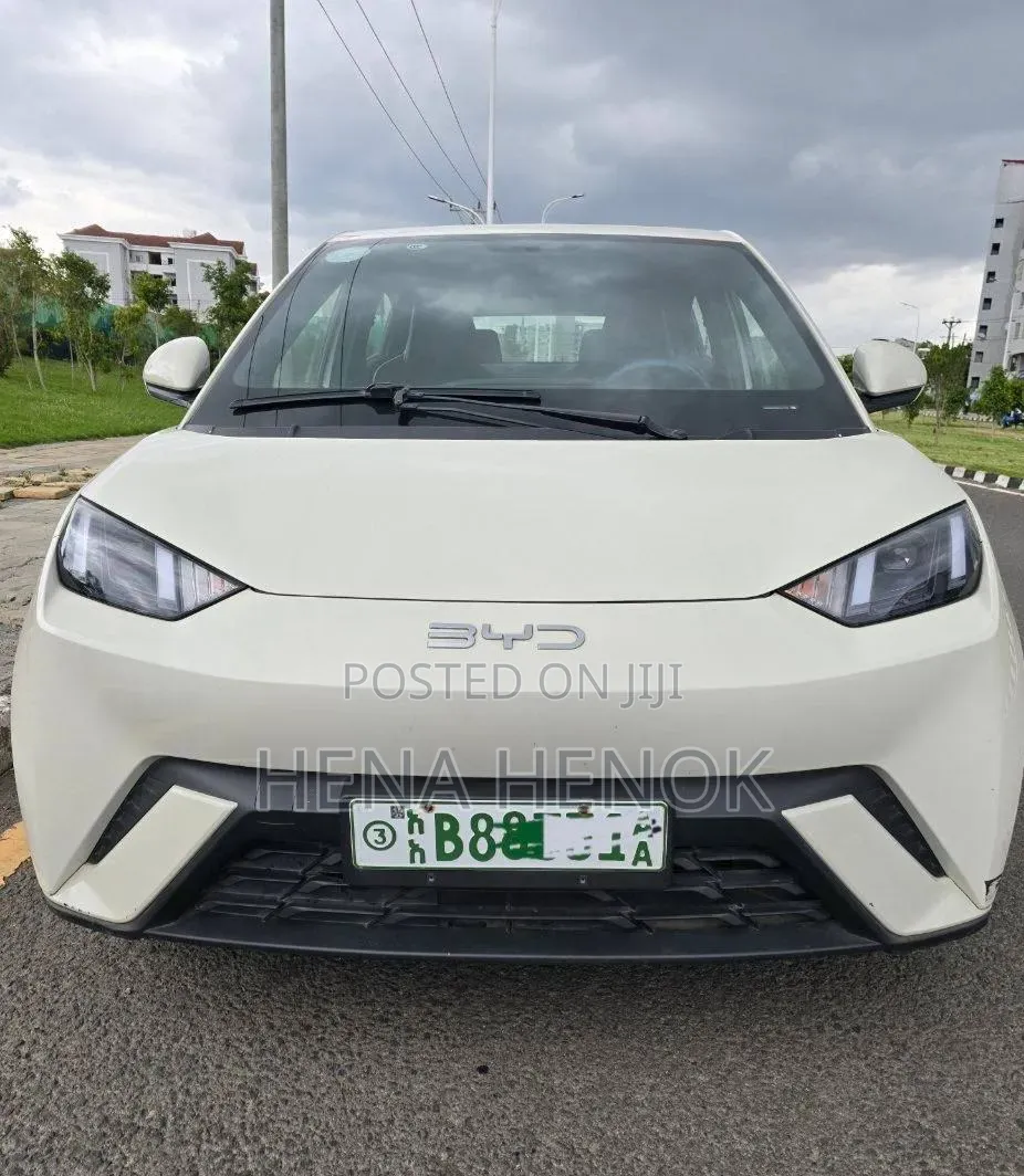 BYD Seagull 2024 White