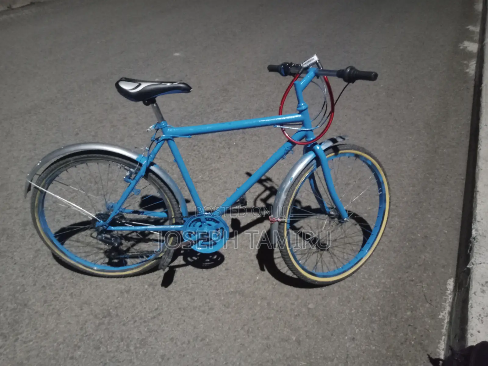 Bicycle Viva