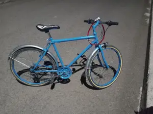 Bicycle Viva