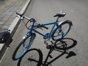 Bicycle Viva