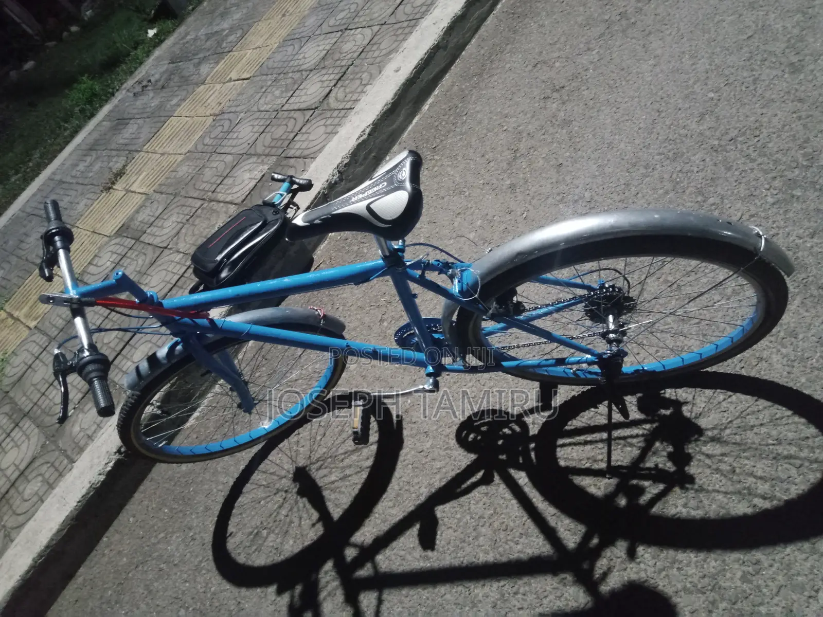 Bicycle Viva