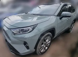 Toyota RAV4 2020 Gray